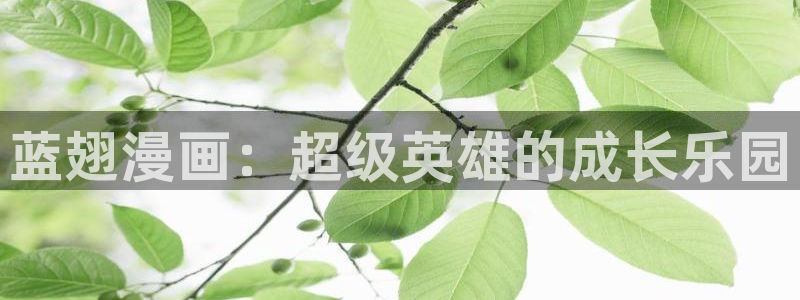 .包子漫画：蓝翅漫画：超级英雄的成长乐园