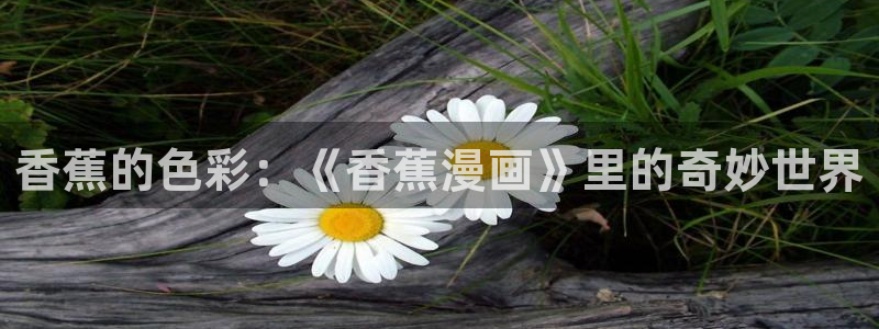 定风波包子漫画：香蕉的色彩：《香蕉漫画》里的奇妙世界